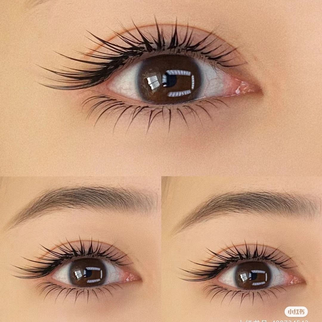 Eyelash Extension Natural Classic - LB LC Curl Camellia Falsche Wimpern,
